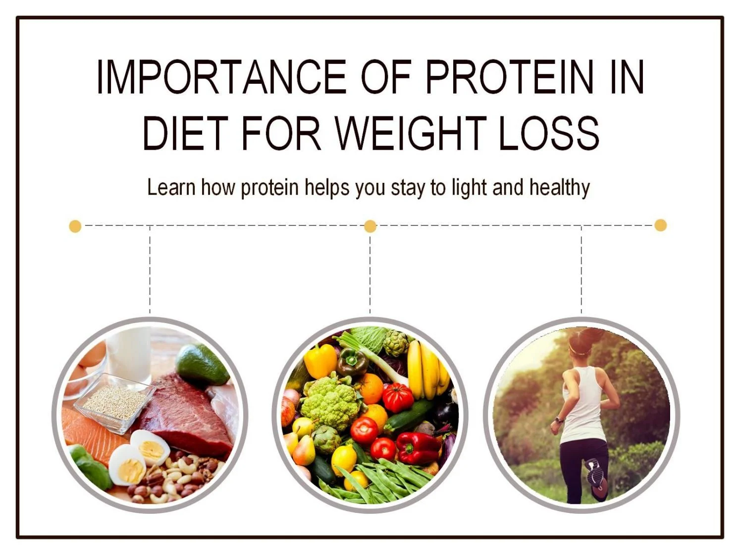 The Importance of Protein in a Weight Loss Diet