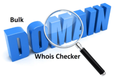 The Power of PrePostSEO Bulk Domain Whois Checker