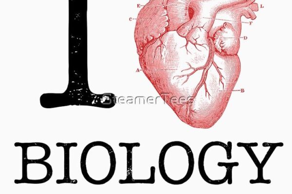 What is love? Answers from biology*