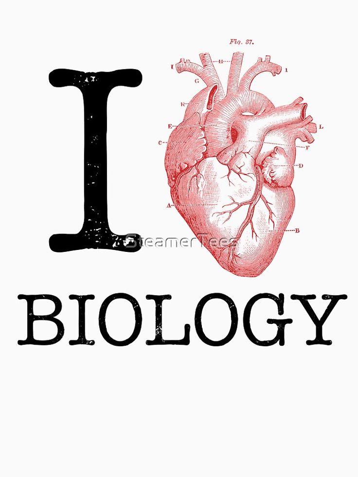 What is love? Answers from biology*